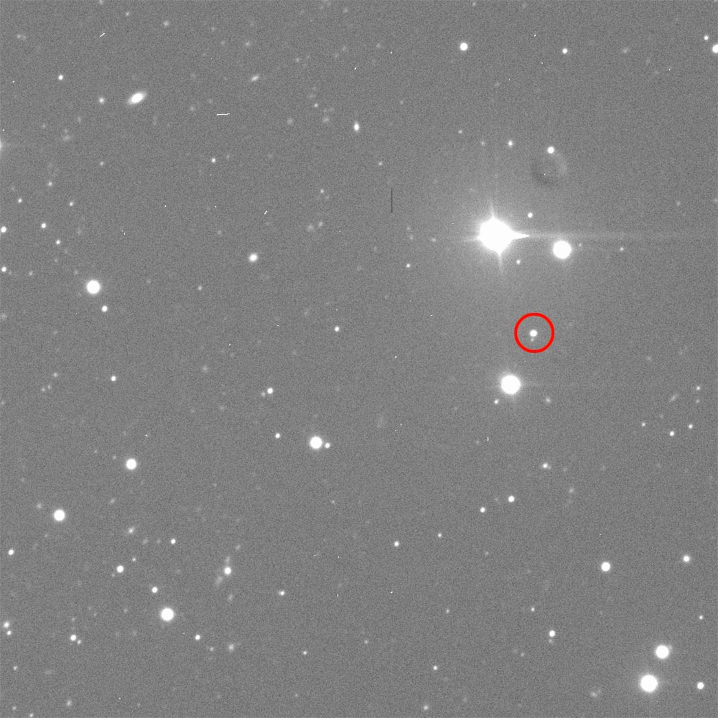 בלילה של 7 ביולי 2022 טלסקופ הגילוי לואל ליד פלגסטף, אריזונה צילם את הרצף הזה שבו האסטרואיד דידימוס, שנמצא ליד מרכז המסך, חוצה את שמי הלילה. הרצף כאן מואץ פי 1,800 בערך. מדענים השתמשו ברצף הזה ובתצפיות אחרות מהמערכה ביולי כדי לאמת את המסלול של דימורפוס והמקום החזוי בזמן הפגיעה של DART. קרדיט: Lowell Observatory/N. Moskovitz