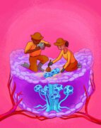 החיפוש אחר פטריות בסרטן. איור: סטודיו אלה מארו