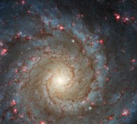 הזרועות של הגלקסיה הספירלית M74, משובצות באזורים ורודים של היווצרות כוכבים חדשה, מוצגים בתמונה הזאת של טלסקופ החלל האבל. קרדיט: ESA/Hubble & NASA, R. Chandar