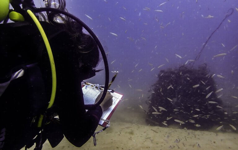 One of the main ways to help protect the reserve is to completely avoid using single-use plastic utensils in these areas. Photo: Shahar Chaikin
