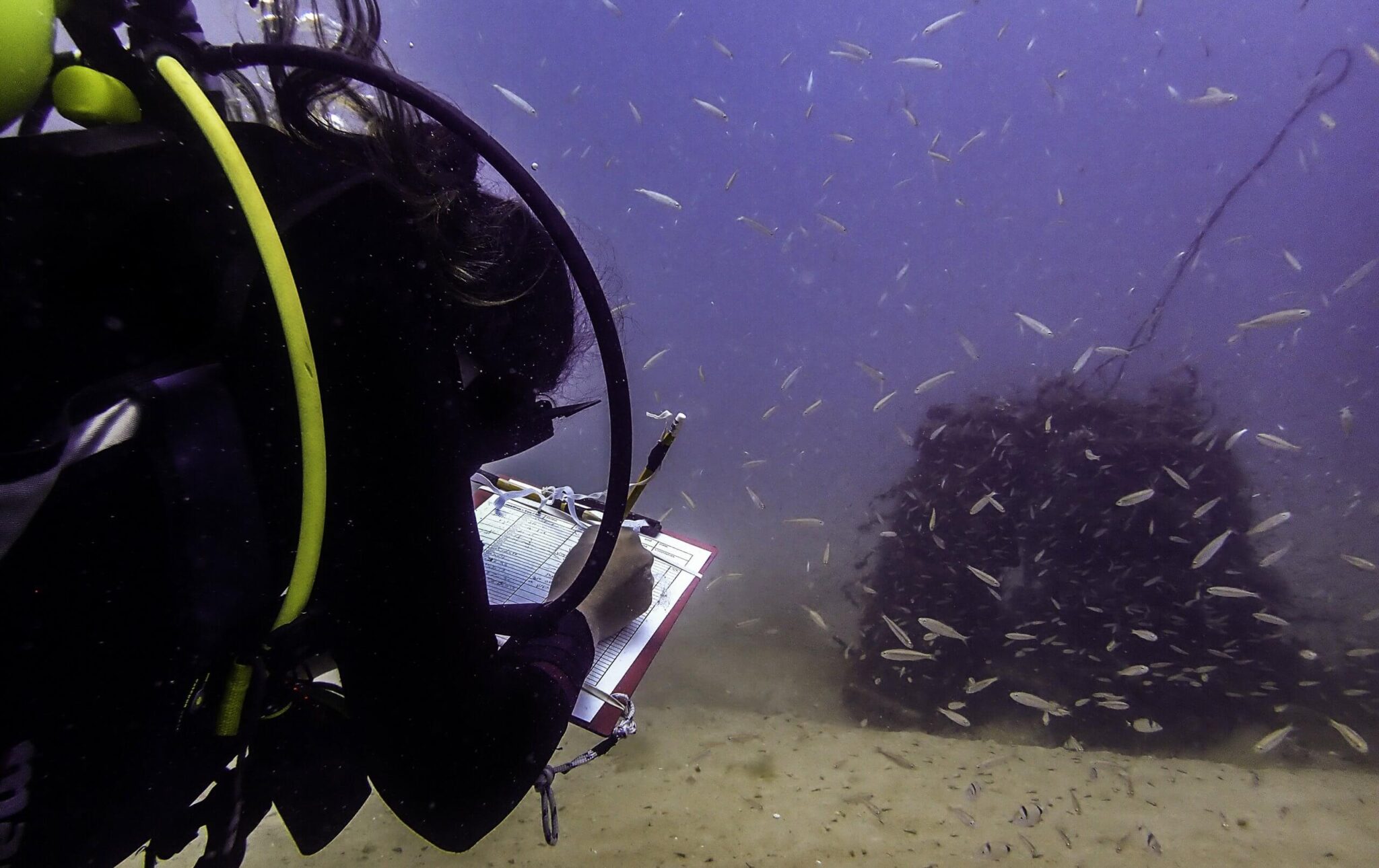One of the main ways to help protect the reserve is to completely avoid using single-use plastic utensils in these areas. Photo: Shahar Chaikin