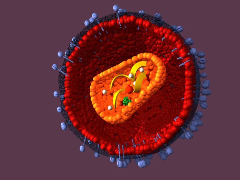 HIV AIDS virus, retrovirus. Image: depositphotos.com