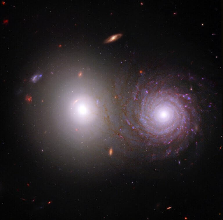 The overlapping galaxies -VV-191. Credit: Science: NASA, ESA, CSA, Rogier Windhorst (ASU), William Keel (University of Alabama), Stuart Wyithe (University of Melbourne), JWST PEARLS Team, Image Processing: Alyssa Pagan (STScI)