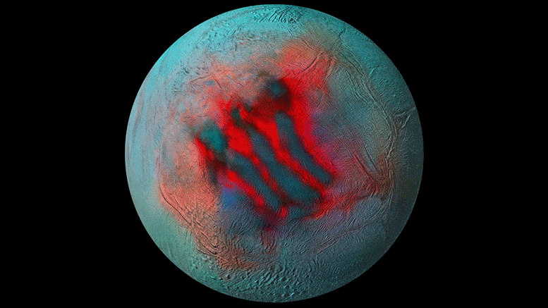 בצילומי התת-אדום המפורטים הללו של הירח הקרחוני של שבתאי, אנקלדוס, אזורים אדומים מציינים קרח טרי ששקע על גבי פני השטח החיצוני. Credit: NASA/JPL-Caltech/University of Arizona/LPG/CNRS/University of Nantes/Space Science Institute. 