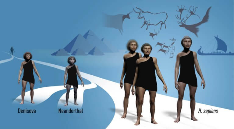 Figure 3. Pabo's discoveries provided important information regarding the population of the world at the time Homo sapiens migrated out of Africa and spread to the rest of the world. Neanderthals lived in western Eurasia while Denisovans lived in eastern Eurasia. Breeding between the different species occurred when the Homo sapiens spread across the continent, leaving behind treasured remains in DNA. Illustration from the explanation for the 2022 Nobel Prize for Medicine. From the Nobel Prize website