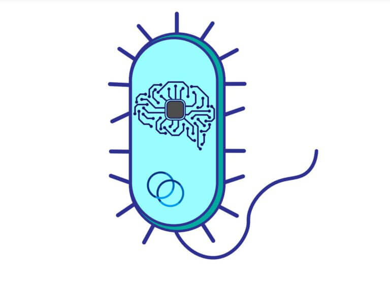 Conceptual illustration: complex computational activities in bacterial cells Credit Photo: Technion Spokesperson