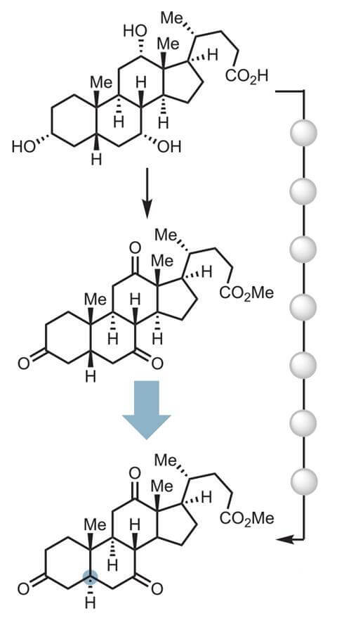 Reversing the orientation of the carbon atom at the junction of the AB rings in this steroid is obtained in two innovative synthetic steps with the help of the catalyst instead of seven steps as it has been until now