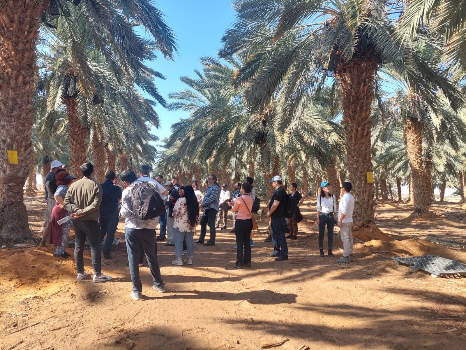 סיור במסגרת כנס המדבור.  צילום דוברות כנס המדבור