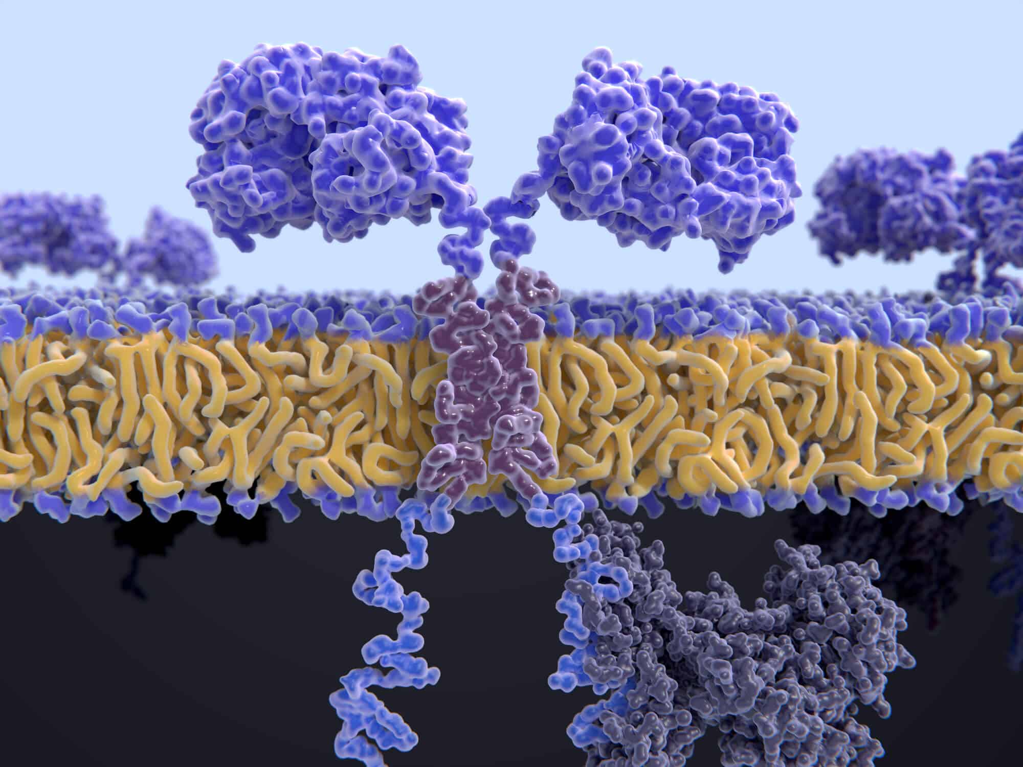 الهندسة الوراثية للخلايا التائية - لجهاز المناعة. (T خلية-CAR). الرسم التوضيحي: موقع Depositphotos.com