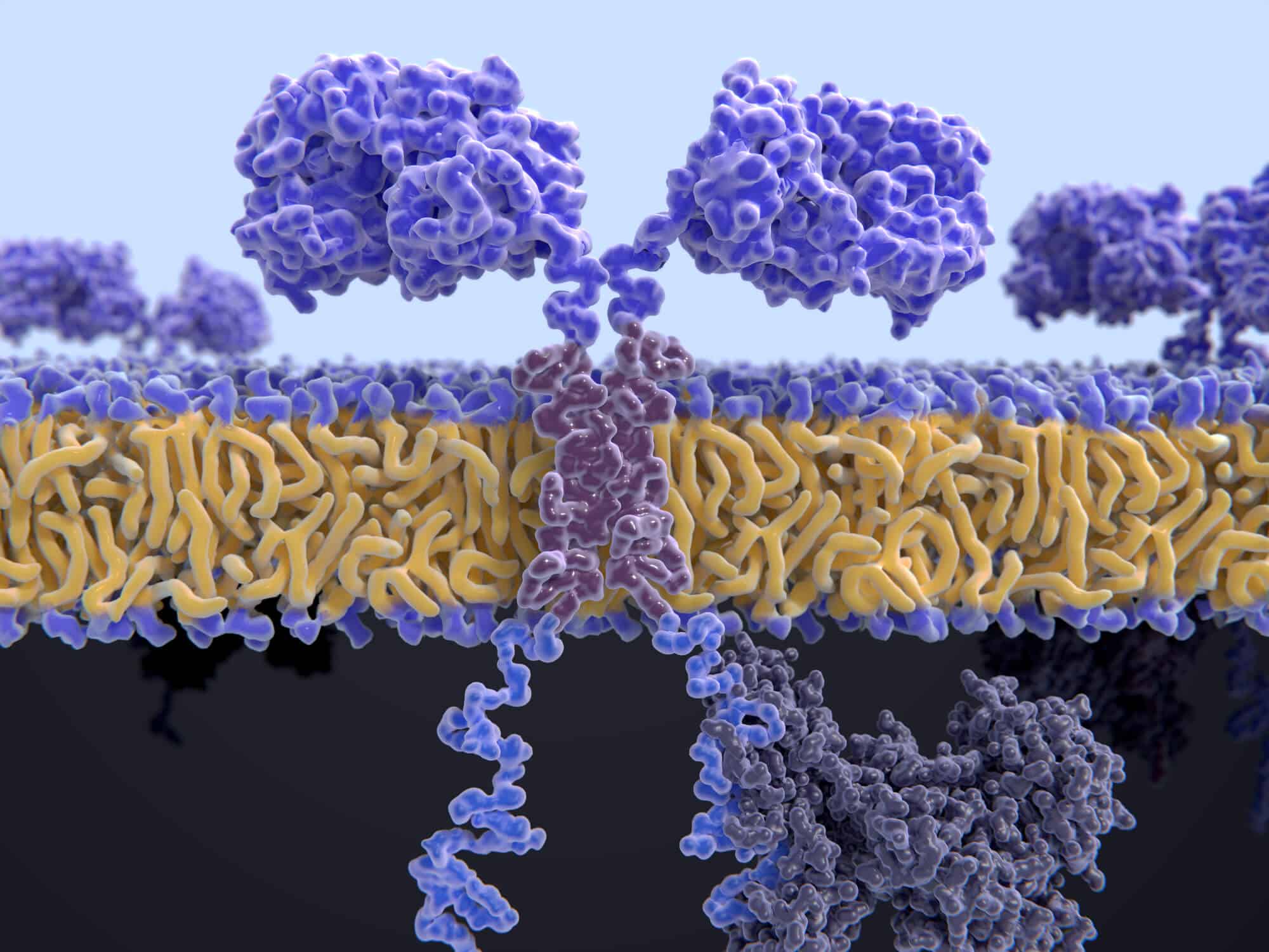 Genetic engineering of T cells - of the immune system. (T Cell-CAR). Illustration: depositphotos.com