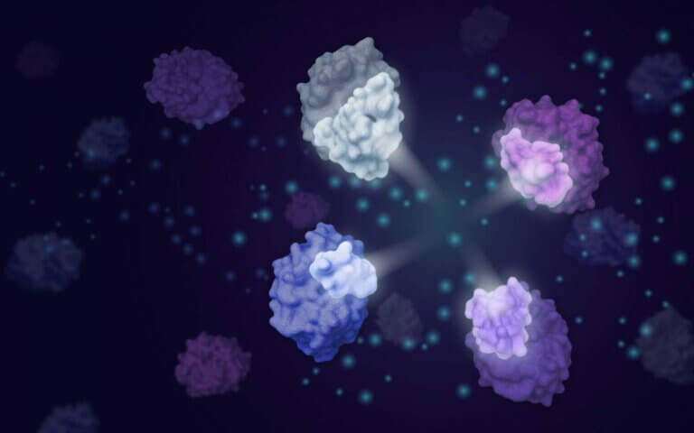 The method developed by Weizmann Institute of Science scientists makes it possible to connect modular protein segments (the illuminated parts) and produce active enzymes from them with unprecedented efficiency
