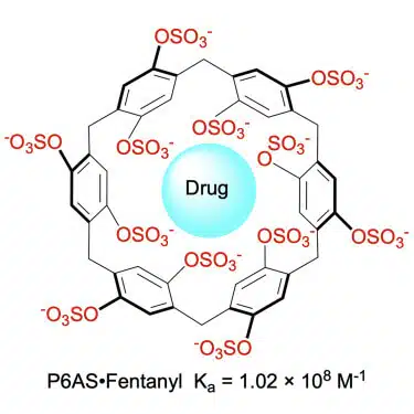 The macrocyclic compound P6AS can trap a variety of drugs that can cause overdose, including opioids, hallucinogens and stimulants, thanks to a hydrophobic internal niche. [Courtesy: © Brockett et al., Chem 9, 1–20 April 13, 2022 Elsevier Inc]