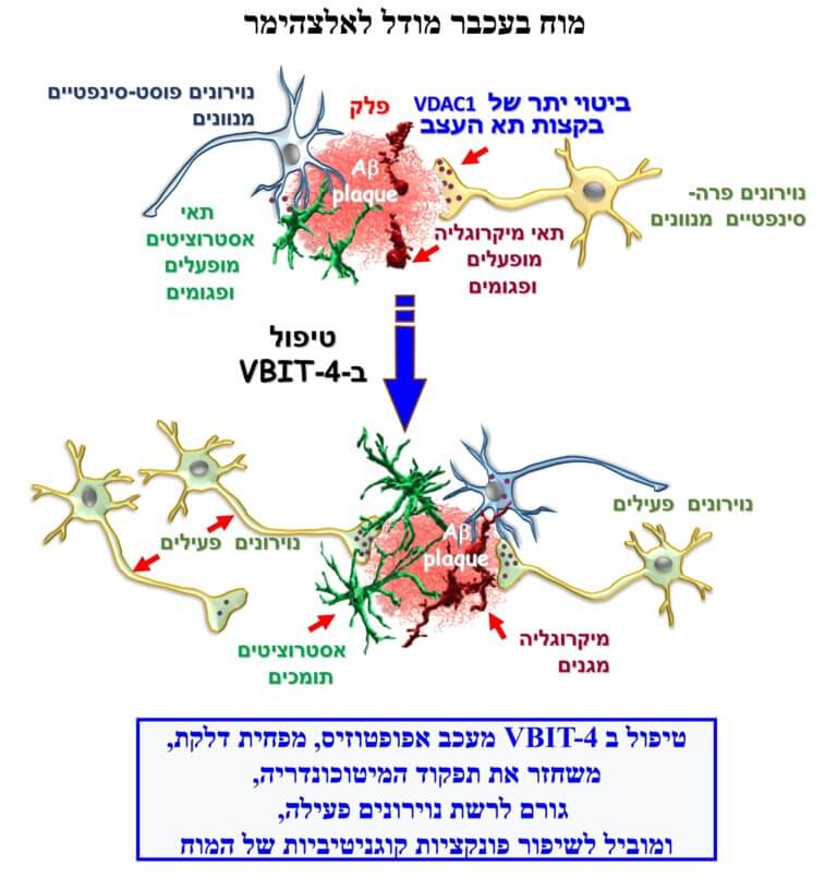 Link to the figure with a diagram showing the pathophysiological changes of Alzheimer's disease which the VBIT-4 molecule prevents by binding to the VDAC1 protein