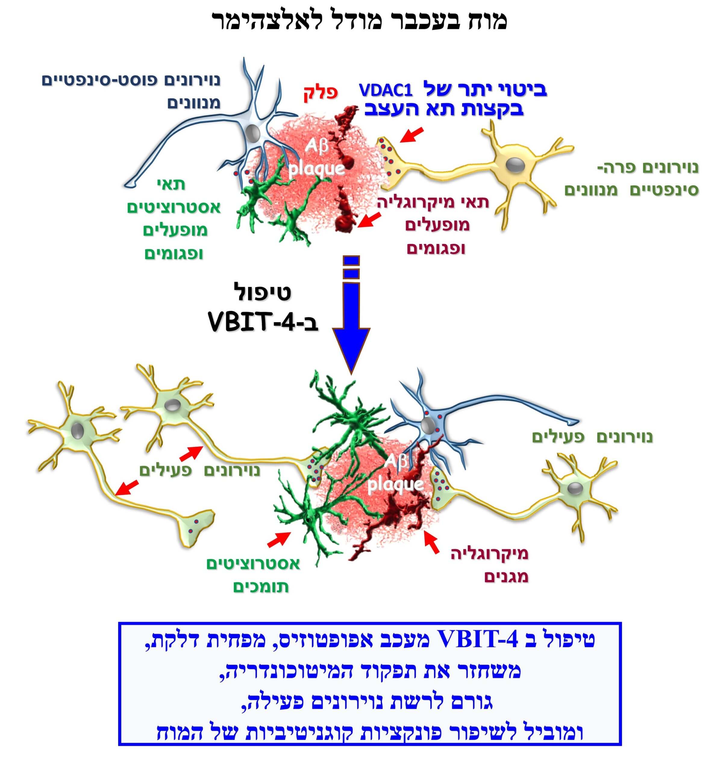Link to the figure with a diagram showing the pathophysiological changes of Alzheimer's disease that the VBIT-4 molecule prevents by binding to the VDAC1 protein