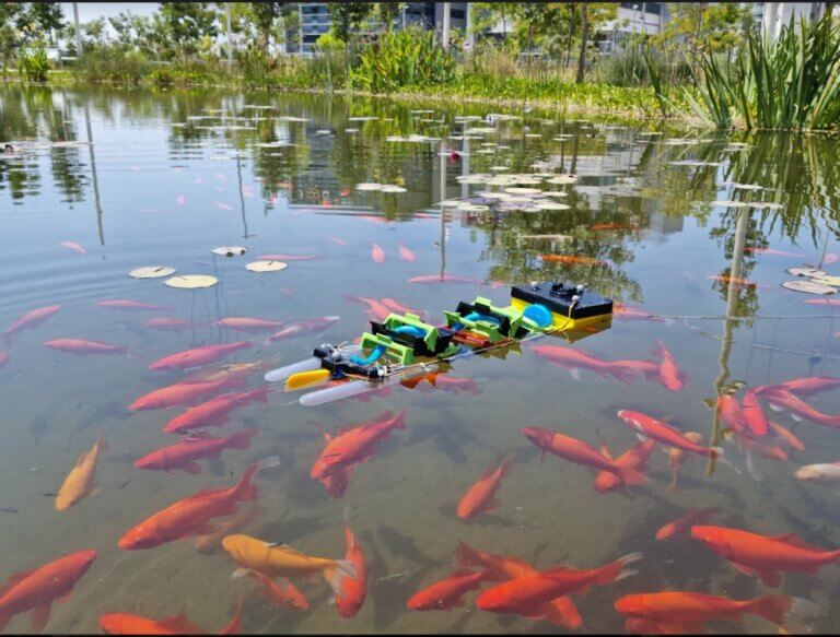 רובוט אמפיבי השוחה עם הדגים. צילום: יועד גואטה והמעבדה לביורובוטיקה באוניברסיטת בן-גוריון בנגב