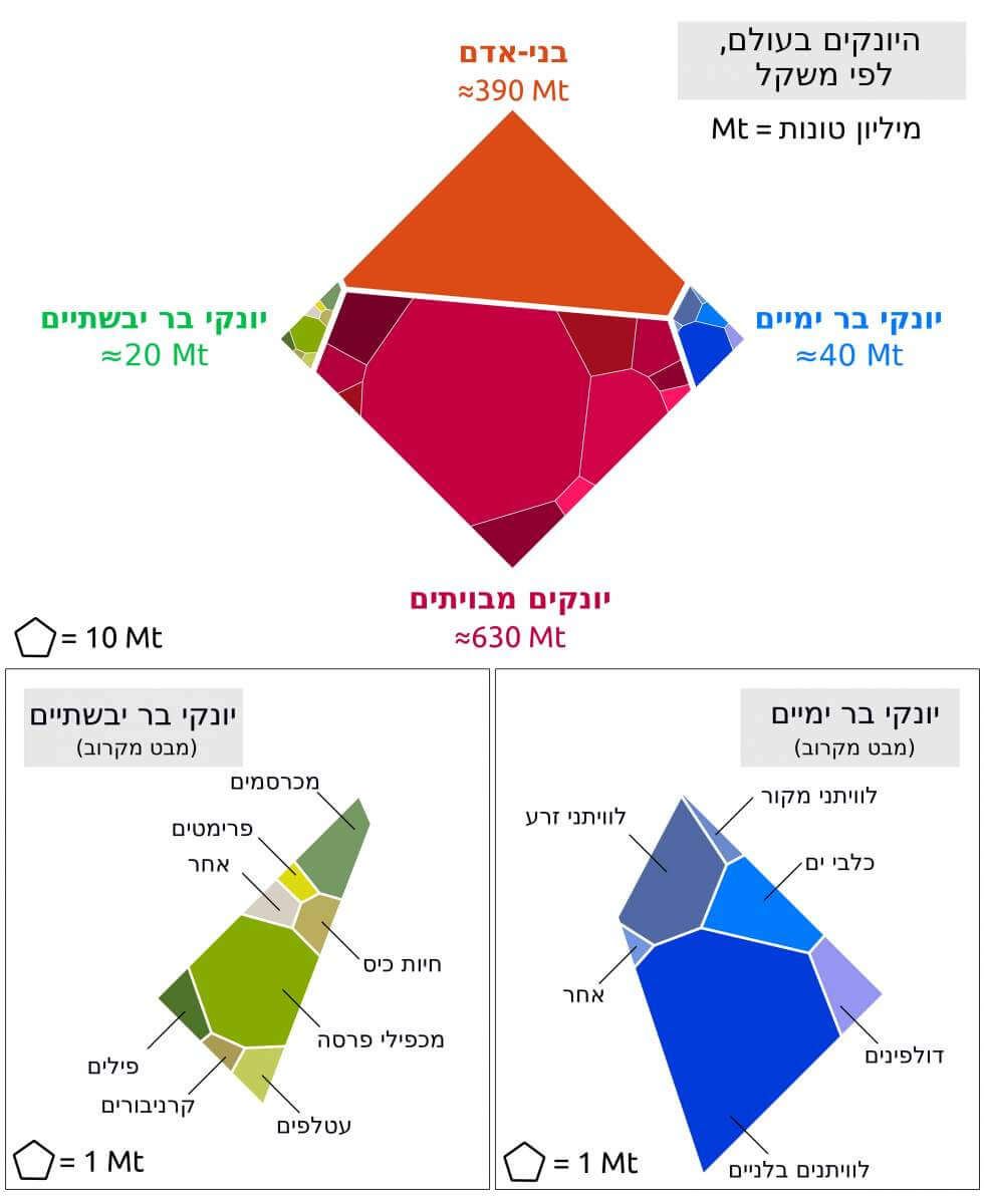 אילו הייתה הביומסה של היונקים שמיכת טלאים, כך היא הייתה נראית