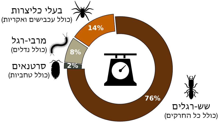 החרקים שולטים: התפלגות המסה של פרוקי-הרגליים מתחת לקרקע