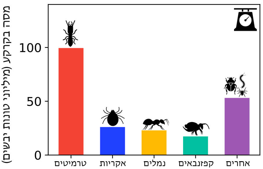 Termites on top: mass peaks among subterranean arthropods