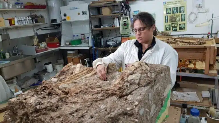 تحليل نتائج الهياكل العظمية التي يبلغ عمرها 10,000 عام في صحراء يهودا في مختبر البروفيسور إسرائيل هيرشكوفيتش، جامعة تل أبيب