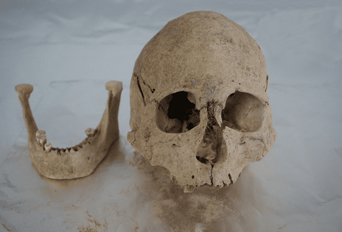 גולגולת ומנדיבל של אדם מזונגרי (5213-3716 CAL BP), אתר ארכיאולוגי מאגן גונגחה בצ'ינגהאי, באזור הצפון-מזרחי של הרמה הטיבטית.קרדיט: פו צ'יאומיי