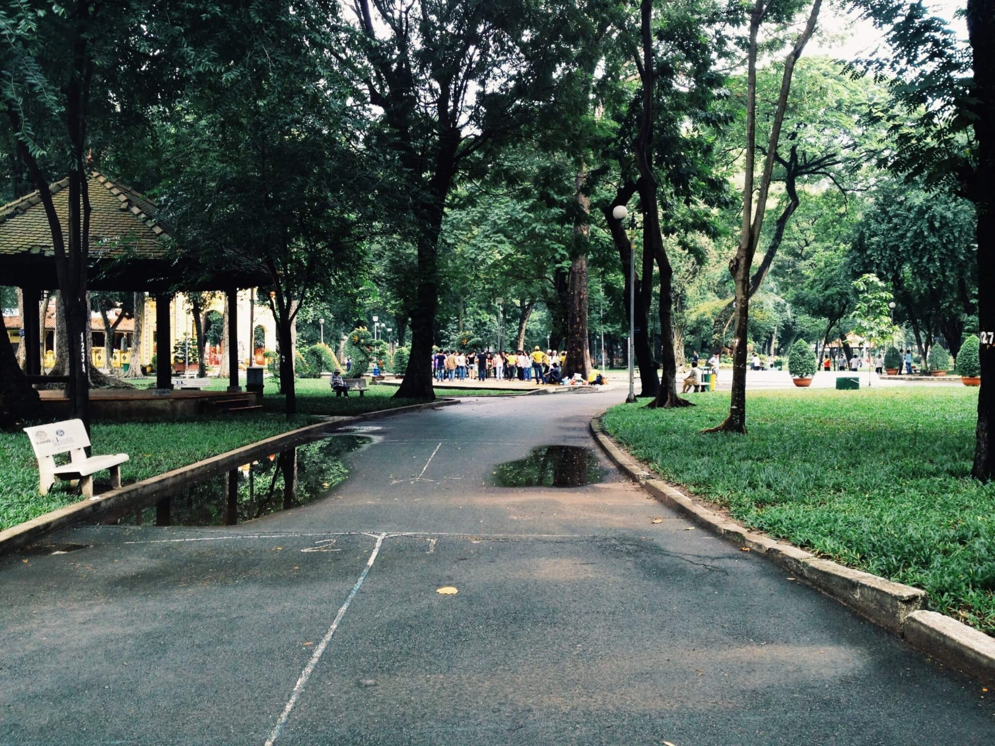 Many studies testify to the positive effects of green spaces on our health. Photo by Myan Nguyen on Unsplash