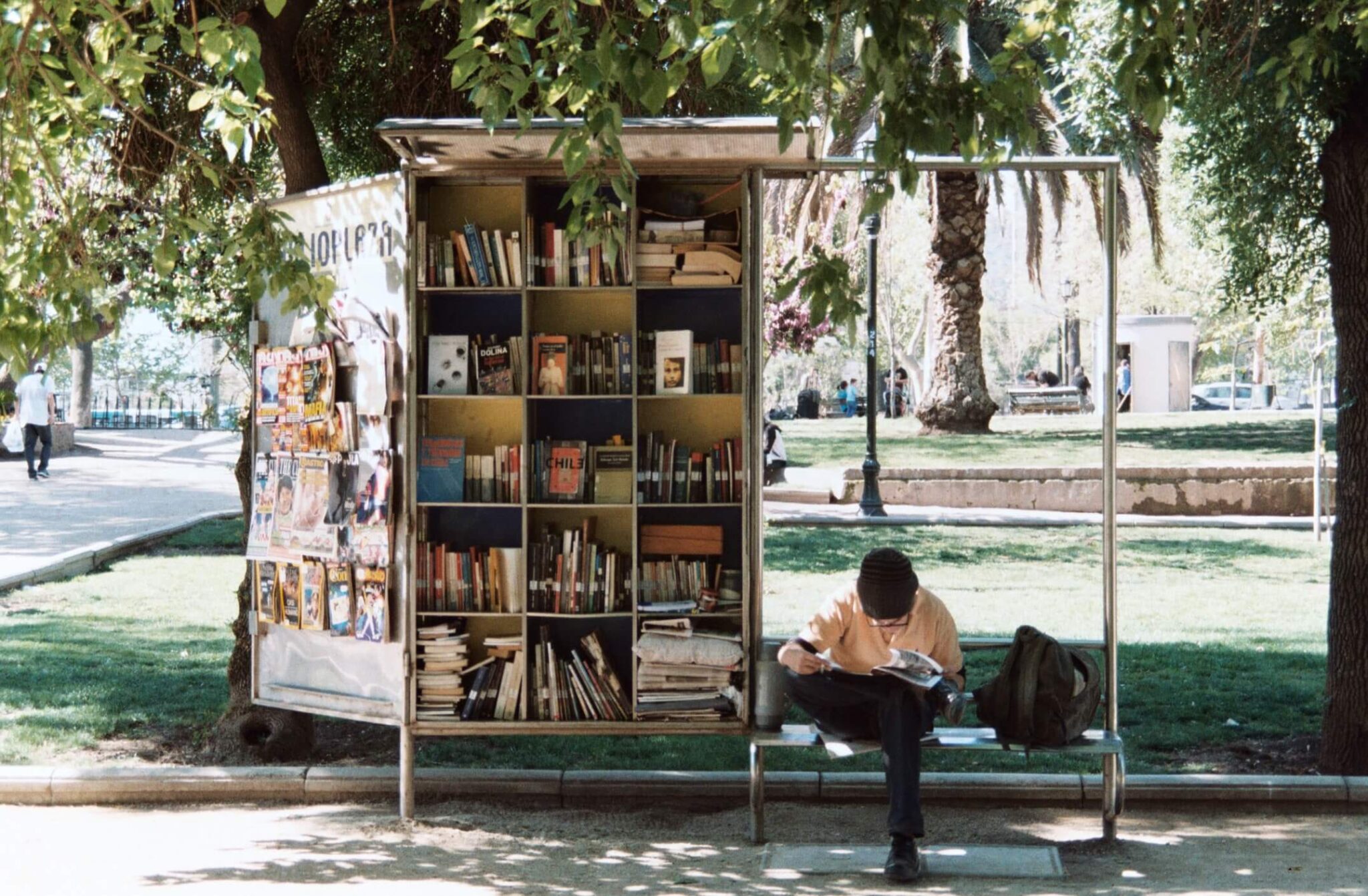 It is possible to create green areas even without spreading them over a large area. Photo by L'odyssée Belle on Unsplash