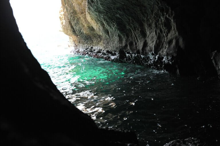 Light and algae in the Rosh Hankara cave. Photo by Prof. Zvi Dubinsky and the other researchers.