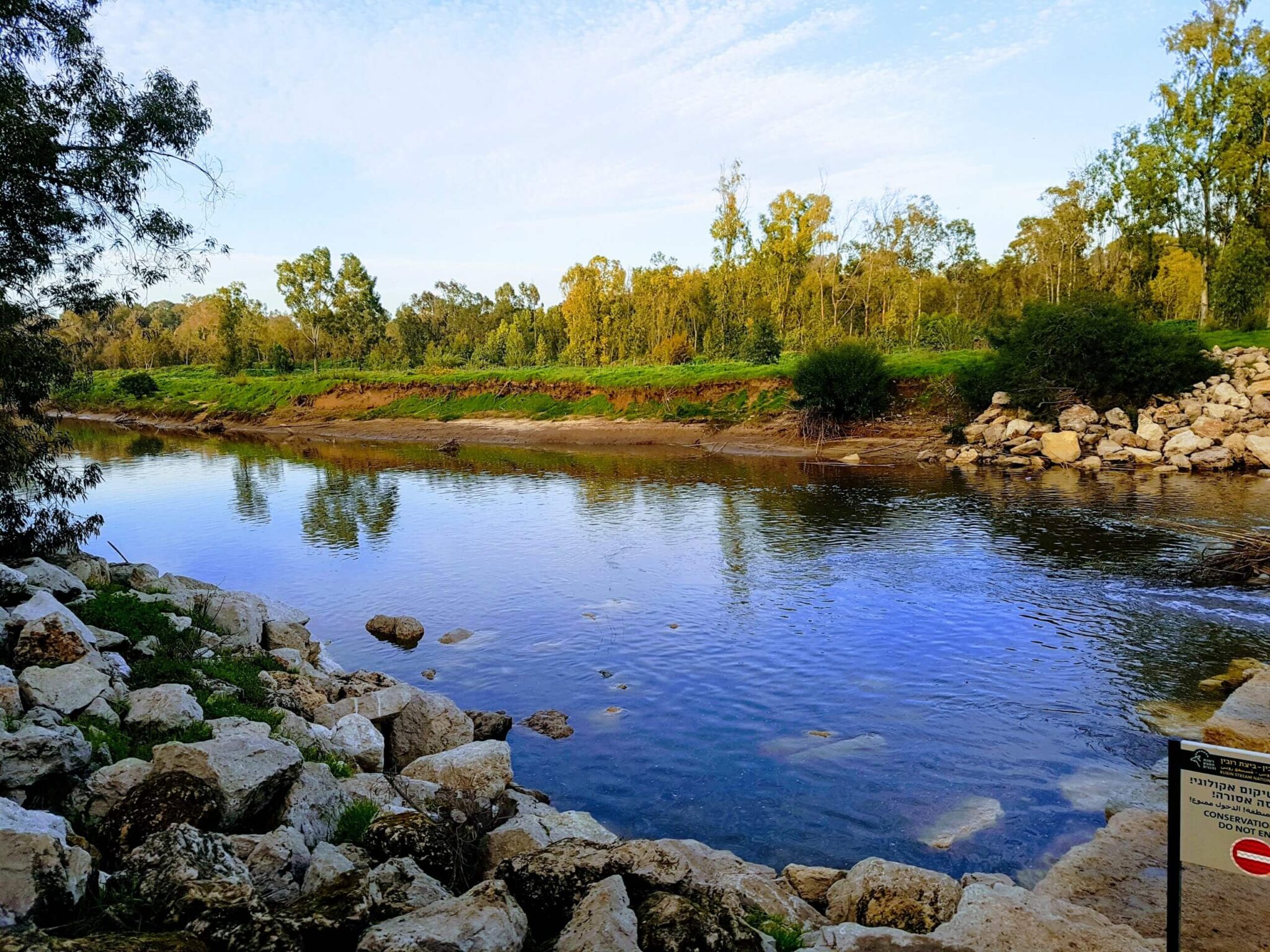 In recent years, approximately 15 million cubic meters of wastewater and sewage from treatment plants in the area have been discharged into Nahal Sorek. Photo: Barr, CC BY-SA 4.0