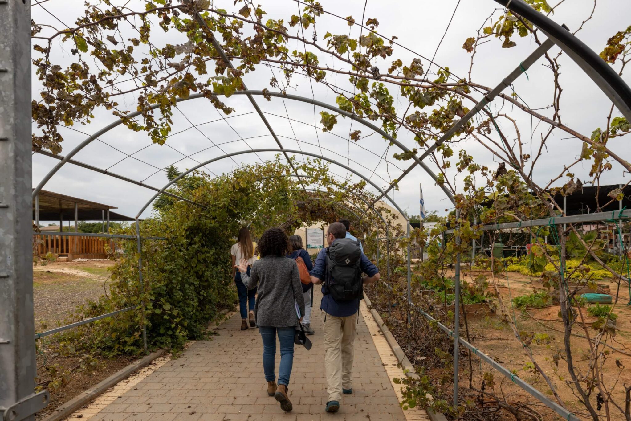 What is the connection between orchardists and forest fires? Orchard in Kfar Saba Park. Photo: Bonnie Sheinman, KKL-Junk Archives