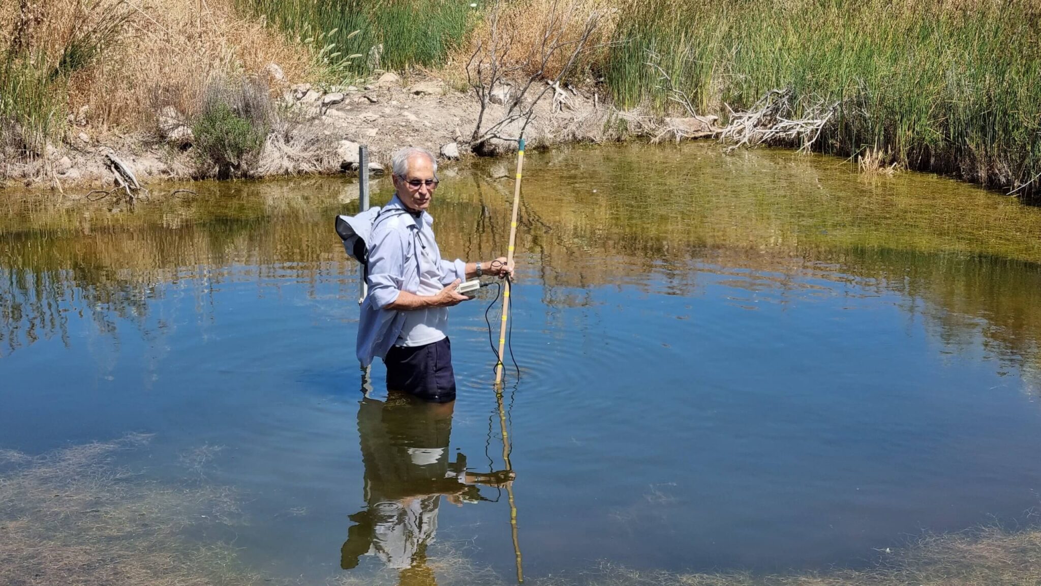 "אני מחובר לבריכות החורף, גם מבחינה רגשית – מכיוון שהעיסוק בהן סוגר את המעגל שנפתח עוד כשהייתי ילד שאוסף ראשנים משלולית". גזית במהלך חקר בבריכת חורף בחיפה. צילום: ד"ר אלדד אלרון