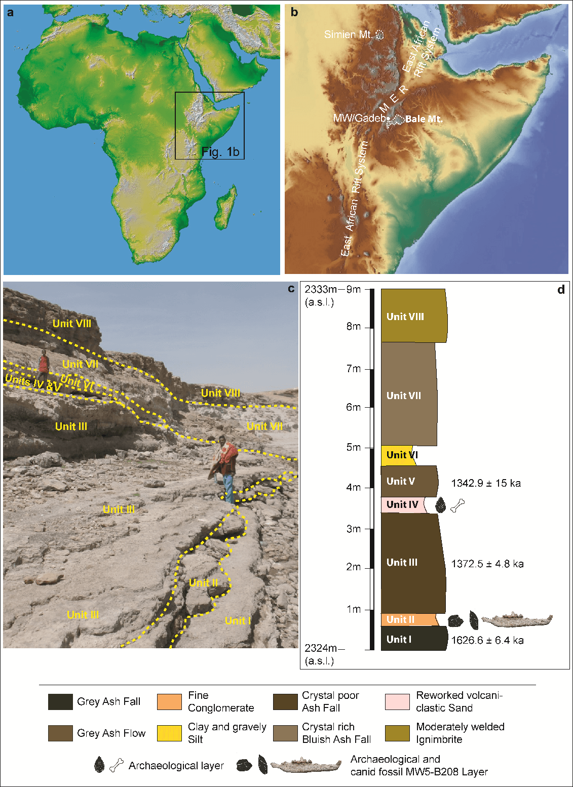 أعلاه: من اليسار - خريطة الموقع في أفريقيا؛ على اليمين – في إثيوبيا Credit: Relief Map from Natural Earth (ملكية عامة) http://www.naturalearthdata.com أدناه: على اليسار – صورة لمنطقة الاكتشاف (Credit: Tegano Gusa)؛ على اليمين: عمود الطبقات الجيولوجية وأعمارها بملايين السنين (الائتمان: تأكيد إسباوسن)