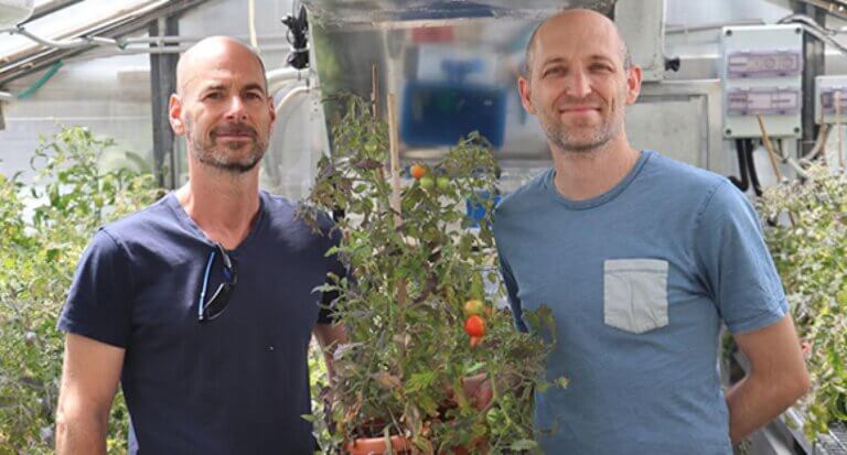 Prof. Ilon Shani and Prof. Itai Miroz from the School of Plant Sciences and Food Security. Photo: Tel Aviv University spokesperson