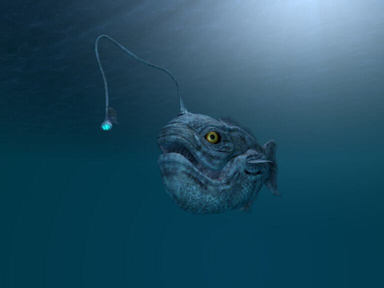 Ancient sturgeon fish. Illustration: depositphotos.com