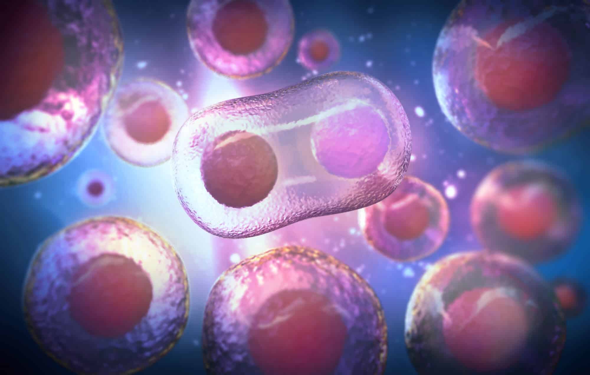 Stem cells. Illustration: depositphotos.com