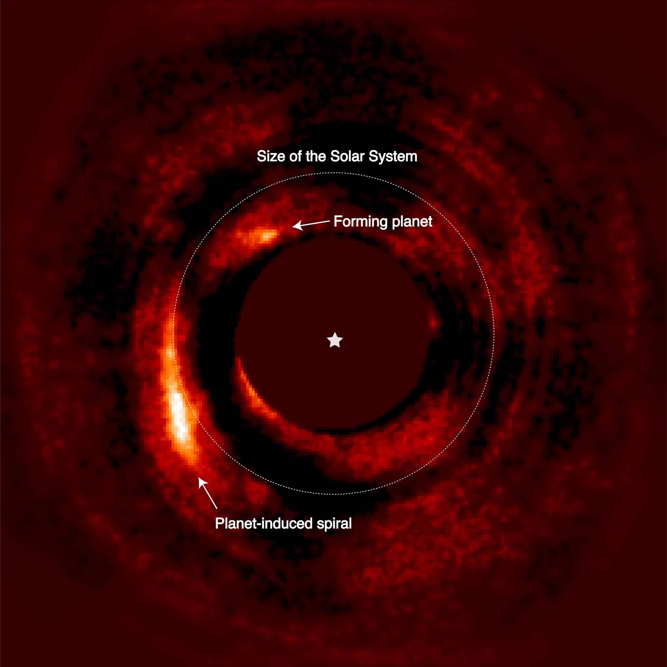 תמונה של המערכת HD 169142 מראה את האות של הפלנטה הנוצרת HD 169142 b (בסביבות שעה 11), וגם זרוע ספירלית בהירה אחריה כתוצאה של האינטראקציה הדינמית בין הפלנטה והדיסקה שבו היא נמצאת. קרדיט: V. Chrisitaens / ULiège
