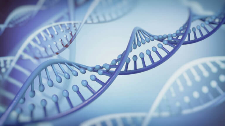 The genetic code in DNA. Illustration: depositphotos.com