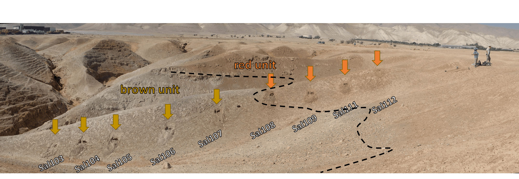 טרסות חלקאיות פרה הסטוריות בבקעת הירדן. איור: פרופ' יגאל אראל, האוניברסיטה העברית