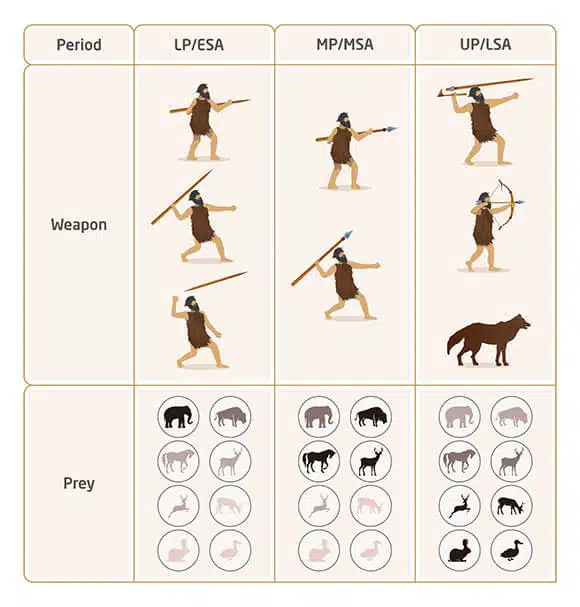 Changes in the hunting tools and the dominant animals in the sites from the Paleolithic period
