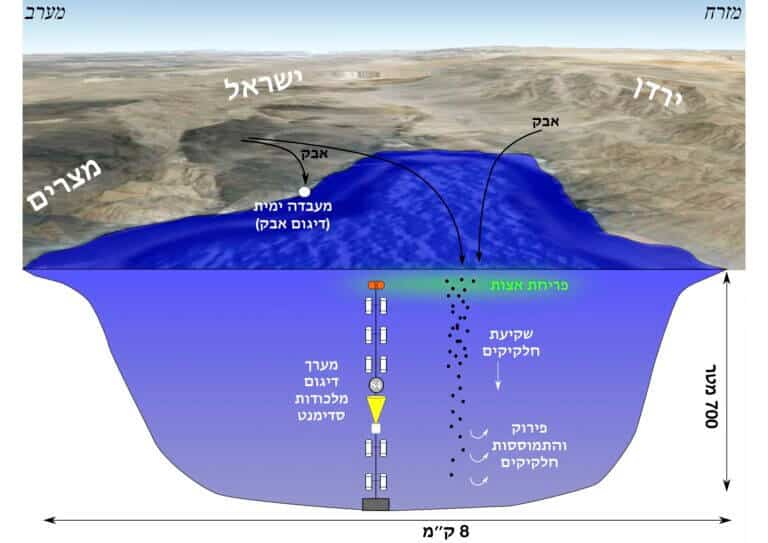 תרשים - מבנה מפרץ אילת. באדיבות החוקרים