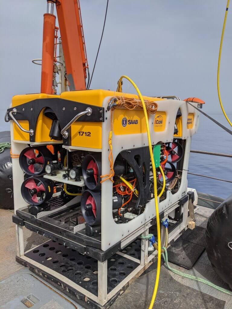 A research robot has discovered a colorful abundance of life a kilometer deep in the sea