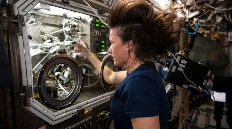 Megan MacArthur, NASA's Mission 65 pilot to the International Space Station, works in the Zero Gravity Science Glove Box and exchanges samples for an experiment called Barrier Sealed Ampoule Coagulation, or SUBSA. The physics experiment investigates experimental methods for coagulating solutions in zero gravity and is expected to lead to reduced fluid movement in the solution, Which will allow for a better distribution of the components and the potential to improve the technology used to produce semiconductor crystals. Photo: NASA