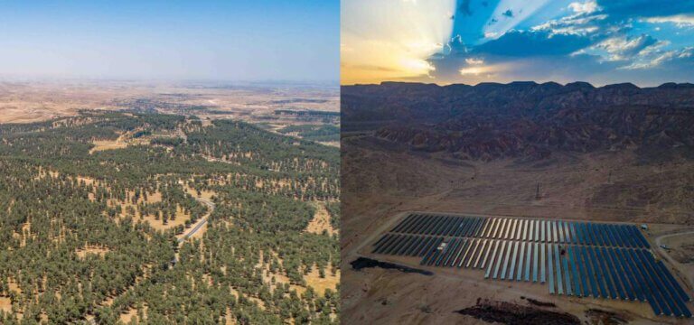 Right: The solar field in Arava where the measurements were made. Left: Yatir Forest in the Northern Negev - the largest of KKL-Junk's planted forests. Photographs: Yonatan Muller