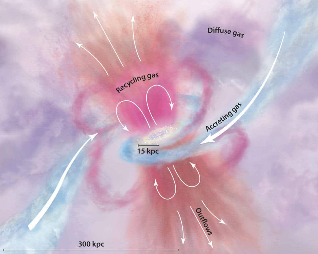 Diffuse gas from intergalactic space descends toward the center, triggering star formation and becoming part of the galaxy's rotating disk. When stars die, they return their gas to the galaxy (and intergalactic space), which is now enriched with heavy elements. Credit: Tumlinson et al. (2017).