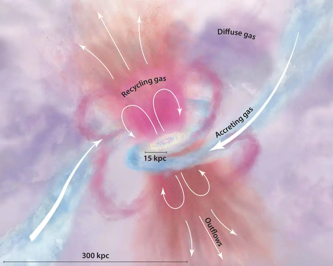 גז מפוזר מהחלל הבין גלקטי צונח לכיוון המרכז, מעורר יצירת כוכבים והופך לחלק מהדיסקה המסתובבת של הגלקסיה. כשכוכבים מתים, הם מחזירים את הגז שלהם לגלקסיה (ולחלל הבין גלקטי), כשהוא מועשר עכשיו ביסודות כבדים. קרדיט: Tumlinson et al. (2017).