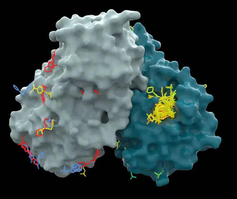تصور للبنية ثلاثية الأبعاد للبروتين الرئيسي في فيروس كورونا: إنزيم البروتياز الرئيسي الضروري لقدرته على التكاثر والنمو (مميز باللون الفيروزي). كان الباحثون يبحثون عن جزيئات يمكن أن ترتبط بأهداف مختلفة على البروتين (باللون الأصفر) وبالتالي تمنع نشاطه. المصدر: مصدر الضوء الماسي