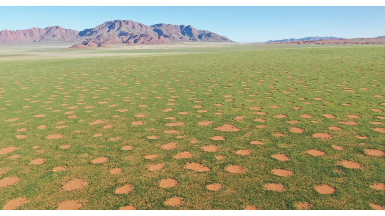 Link to a picture of fairy circles in the Namibian Reserve in Namibia in the rainy season. The average diameter of the circles is about six meters. Photo: Dr. Stefan Getzin