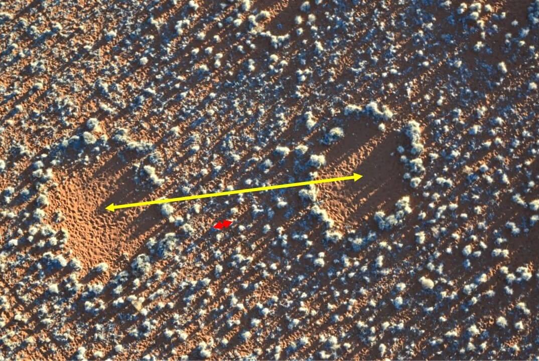 دوائر خرافية في موسم الجفاف. تصوير البروفيسور حازي اسحق