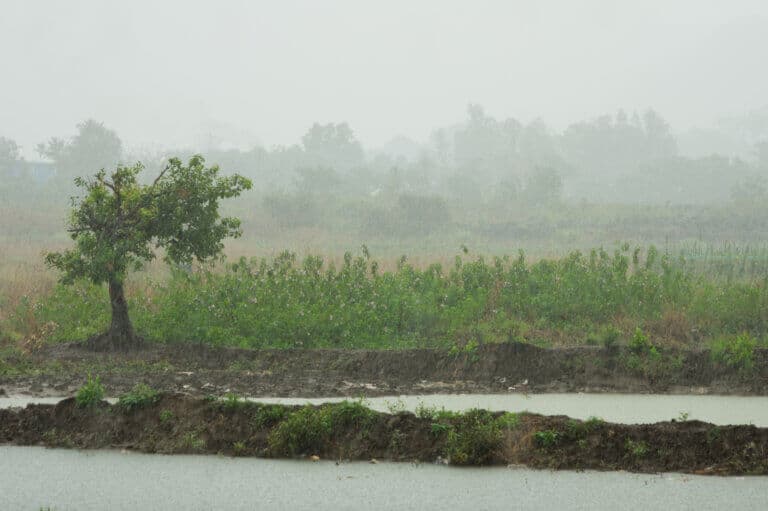 Monsoon rains in a rural area in India.