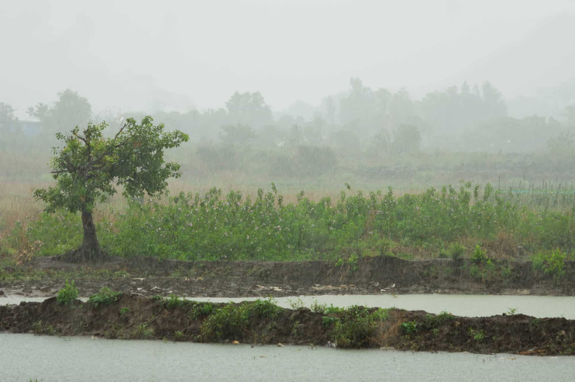 גשמי מונסון באיזור כפרי בהודו. 