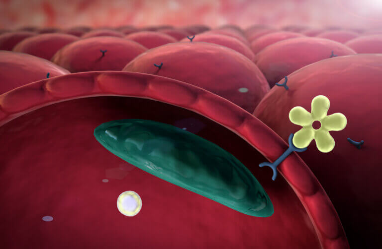 Entry of an insulin molecule into a human cell. Illustration: depositphotos.com